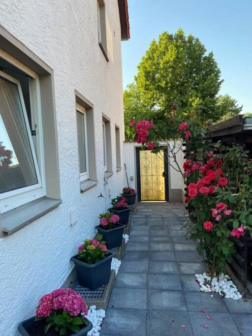 Apartamento Bronzetaler Bad Harzburg Exterior foto